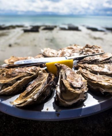 Galway International Oyster & Seafood Festival